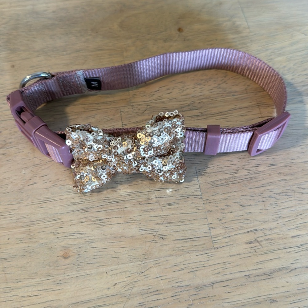 Dog Collar Size Medium (small/medium size dog)